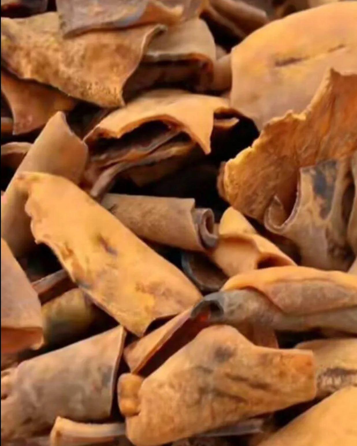 Ponmo Ijebu