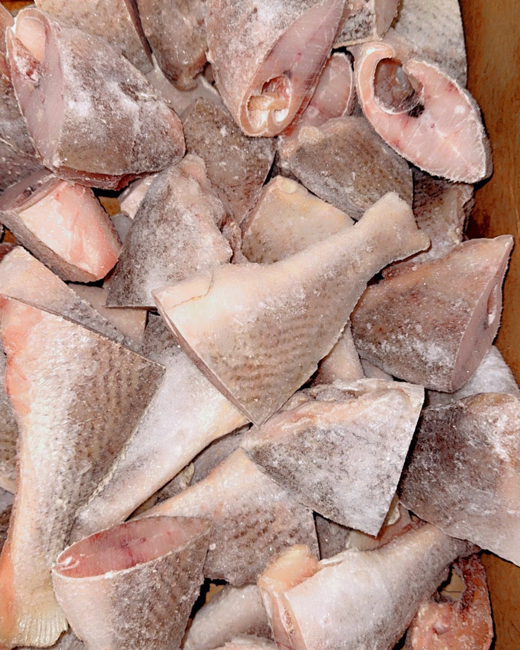 Fresh & Headless tCroaker Fish (Cut Stew Size)