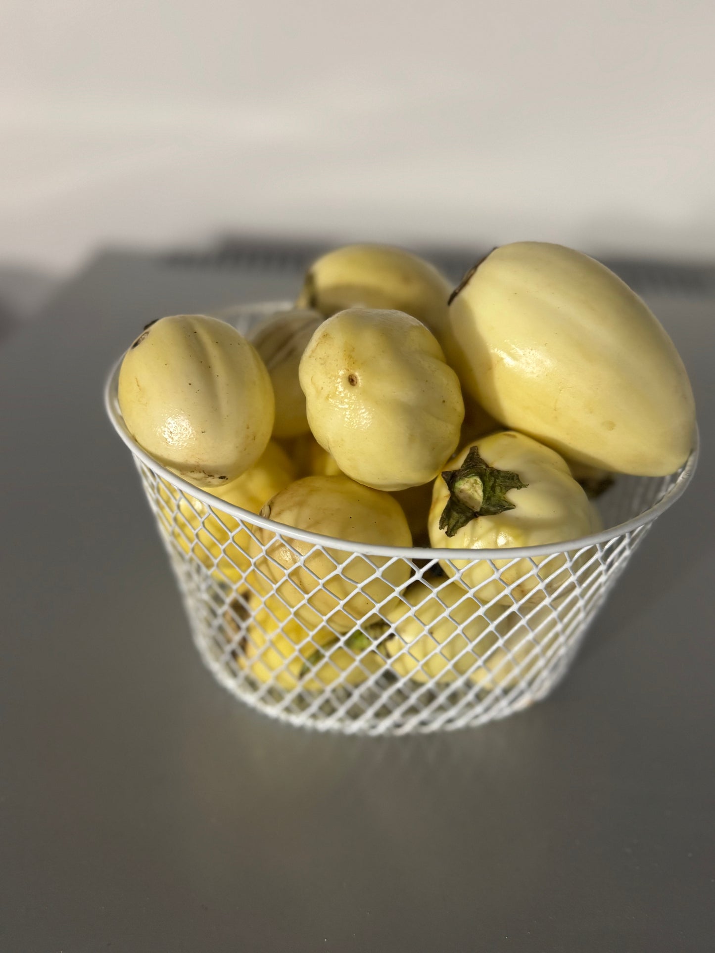 Fresh Garden Egg