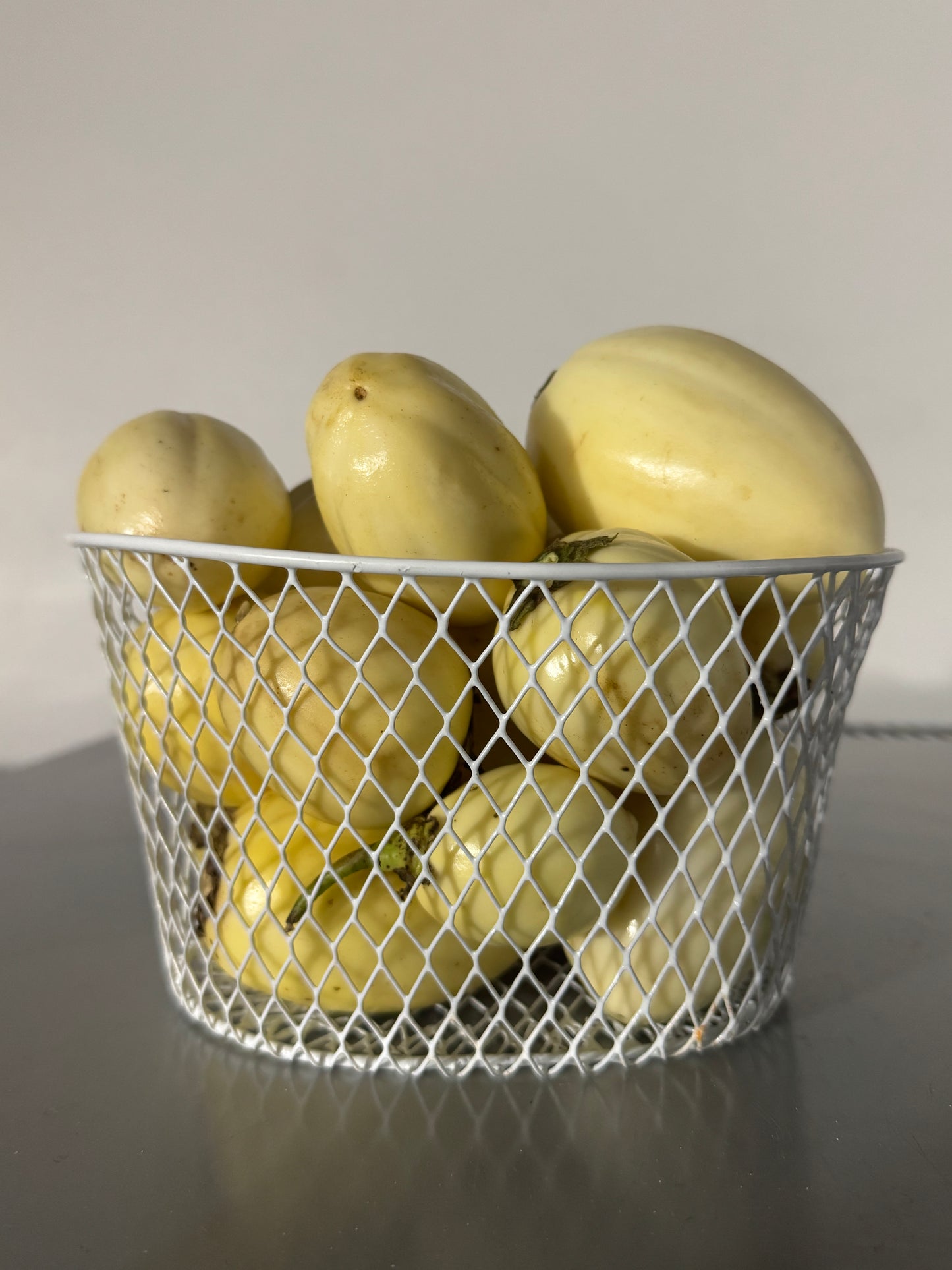 Fresh Garden Egg