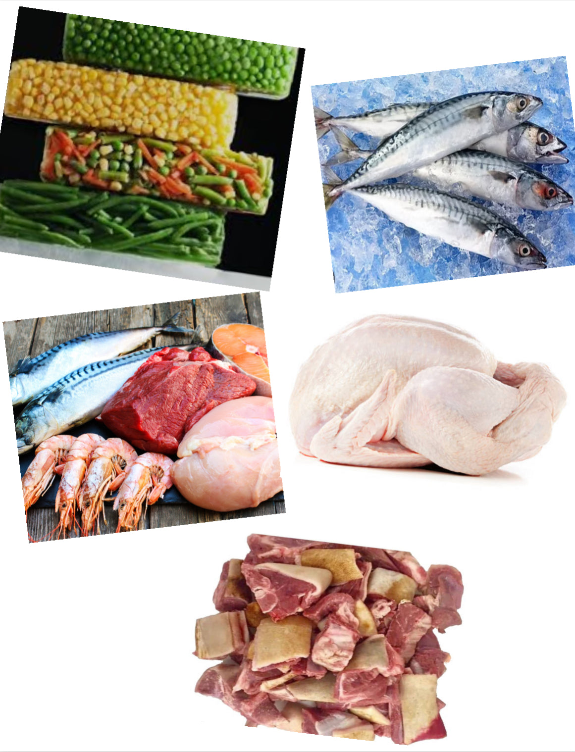Fresh & Frozen Vegetables | Seafood | Meat | Poultry