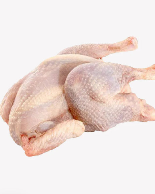 Fresh Whole Chicken / Hard Chicken