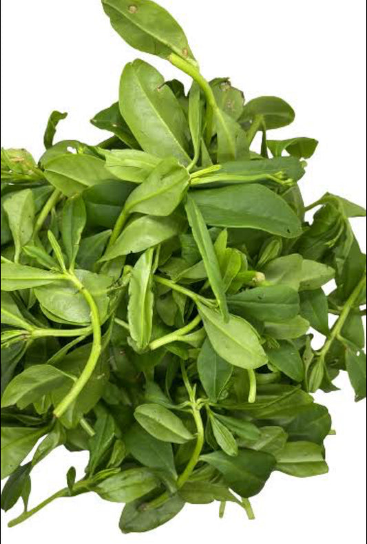 Waterleaf (Efo Gbure)