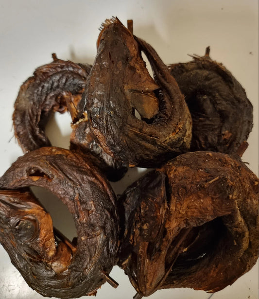 APO Fish(Smoked Croaker) | Pack of 5