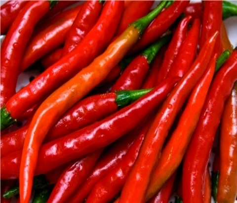 Cayenne Pepper (Shombo / Bawa)