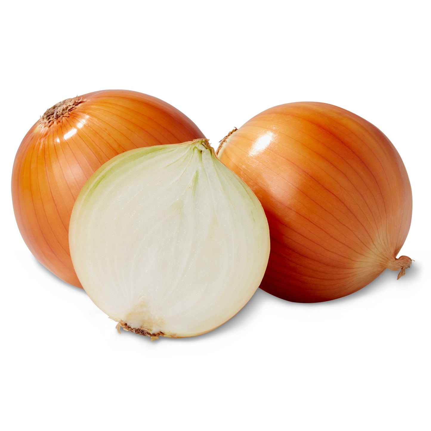 Yellow Onion