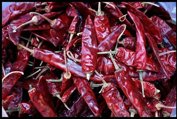 Whole Dried Chili Pepper
